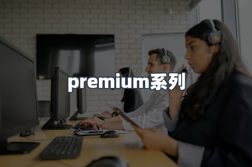 premium系列
